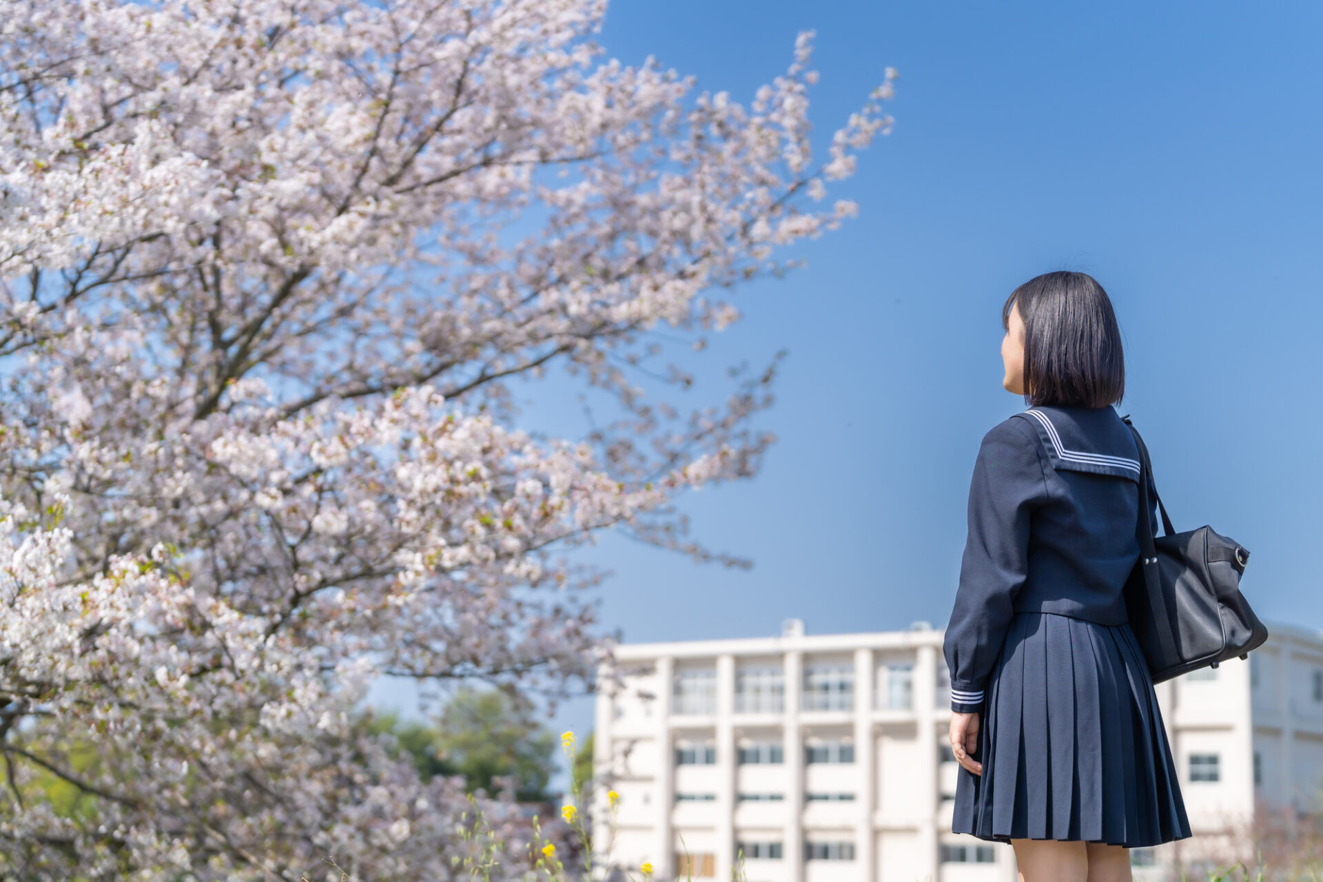 大学受験で利用できる英検Ⓡ