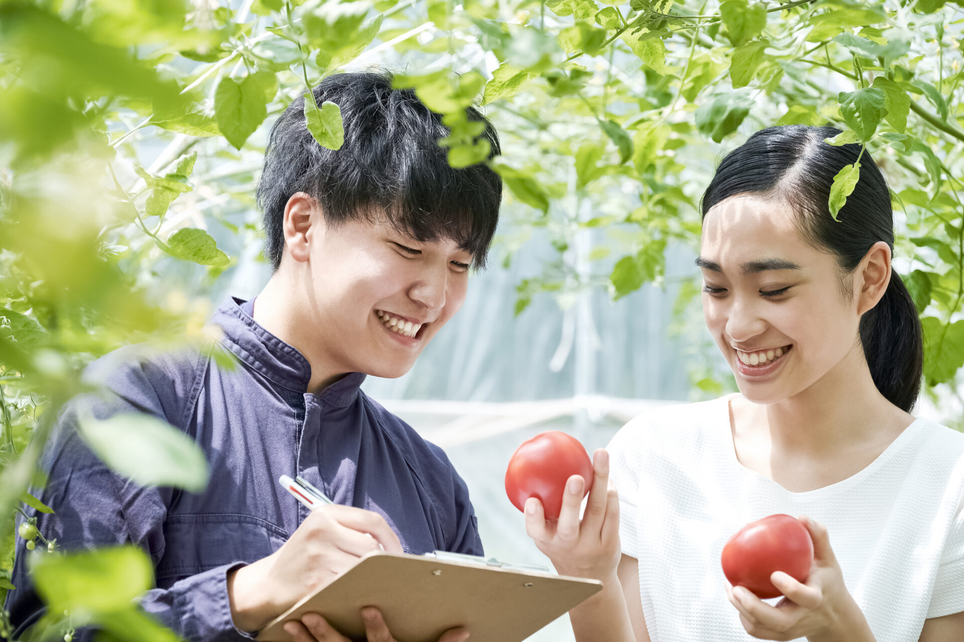 農学・獣医学部系統