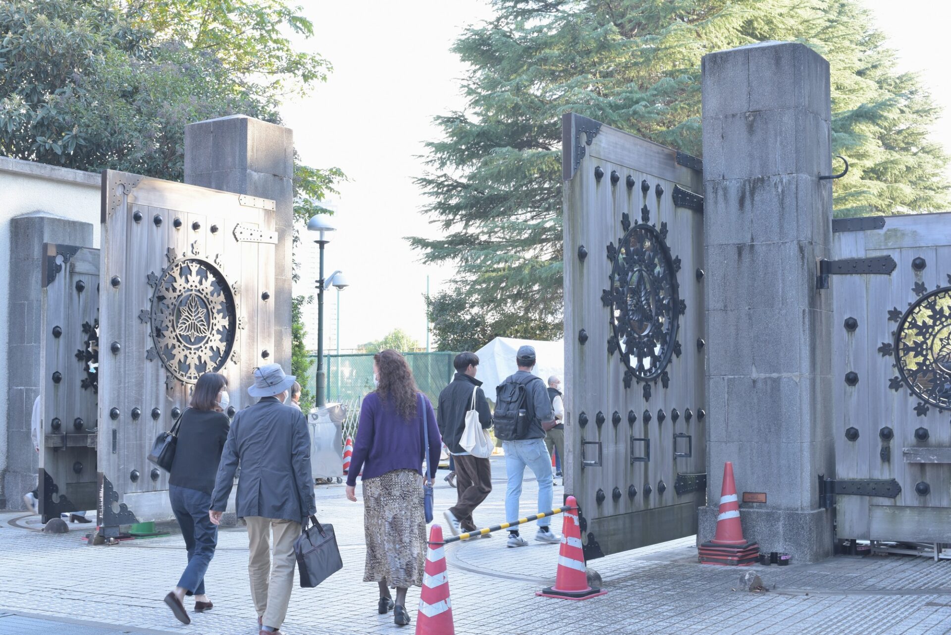 大学における学部の区分 